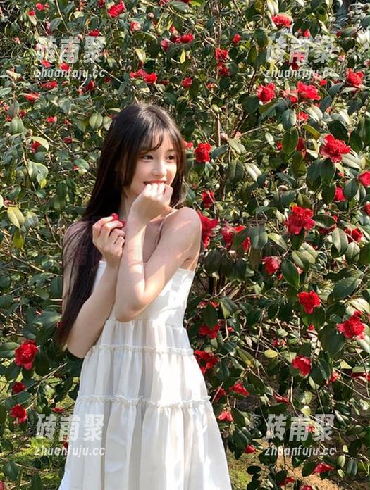 51吃瓜网红网 51吃瓜网红网:那个入口看似普通,却藏着无限惊吓!
