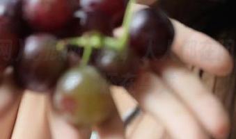 吃瓜网视频，人人都在闲聊，大家都还在乌龙