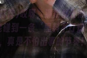 哎呀，满街都是黑料网，走几步就能碰到一条‘黑料不打烊’的线路，真是不怕出事的节奏！