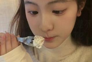 首页—登录的时候是不是已经掉进黑料社区的黑洞了？
