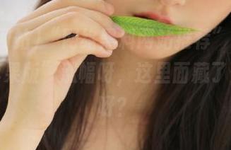 “网络黑料网站推荐”，谁给的“苹果版”涨幅呀，这里面藏了多少瓜呀？